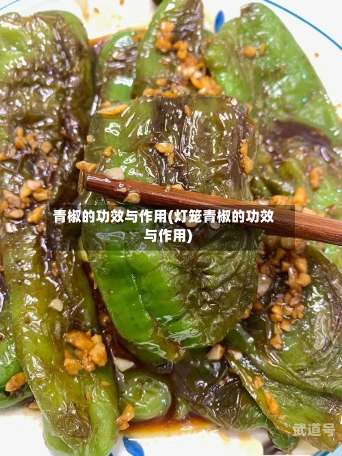 青椒的功效与作用(灯笼青椒的功效与作用)