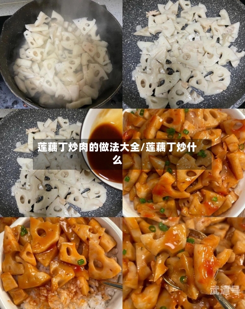 莲藕丁炒肉的做法大全/莲藕丁炒什么