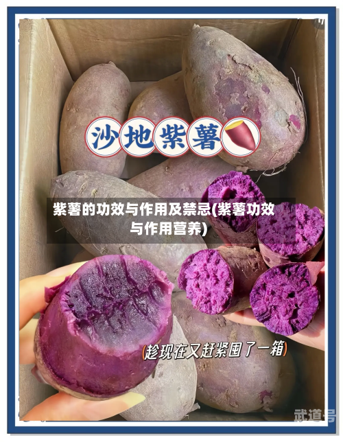 紫薯的功效与作用及禁忌(紫薯功效与作用营养)