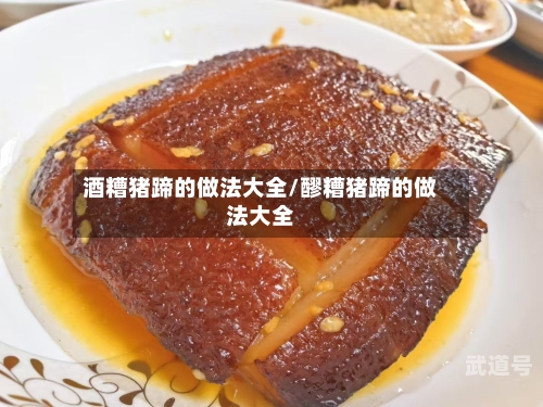 酒糟猪蹄的做法大全/醪糟猪蹄的做法大全
