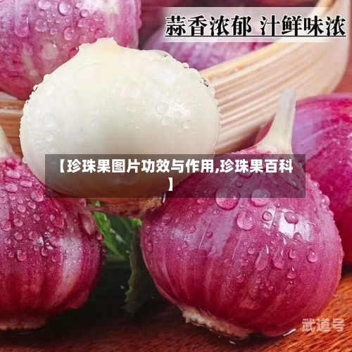 【珍珠果图片功效与作用,珍珠果百科】
