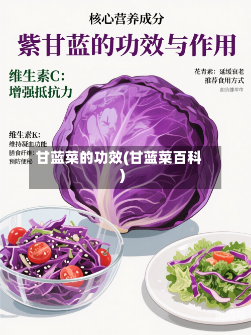 甘蓝菜的功效(甘蓝菜百科)