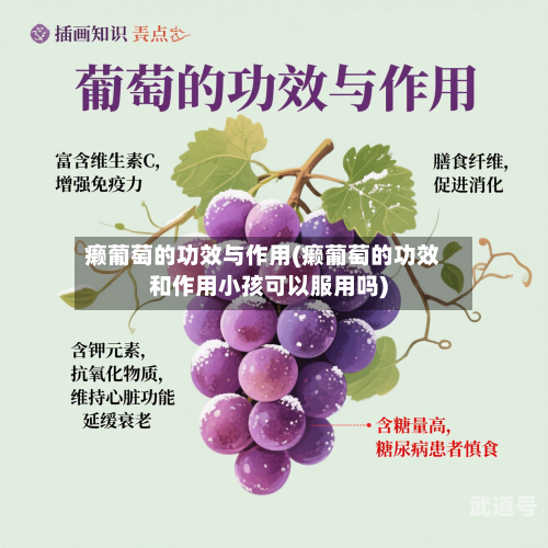 癞葡萄的功效与作用(癞葡萄的功效和作用小孩可以服用吗)