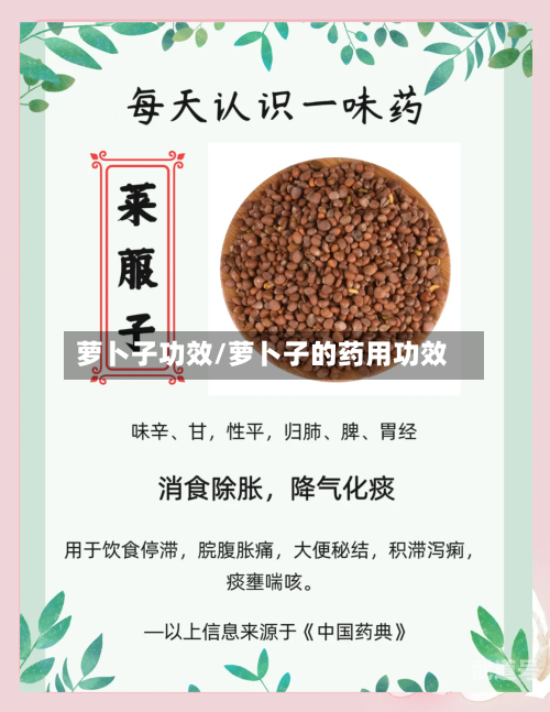 萝卜子功效/萝卜子的药用功效