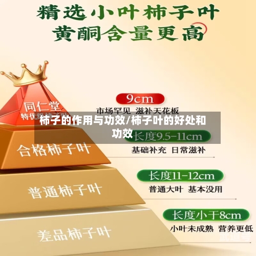 柿子的作用与功效/柿子叶的好处和功效