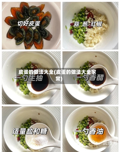 皮蛋的做法大全(皮蛋的做法大全家常)