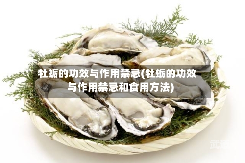 牡蛎的功效与作用禁忌(牡蛎的功效与作用禁忌和食用方法)