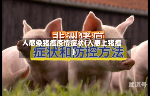 人感染猪瘟疫情症状(人患上猪瘟)