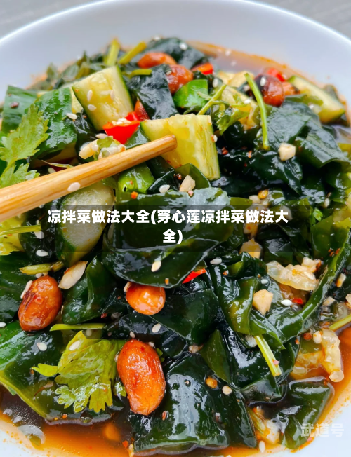 凉拌菜做法大全(穿心莲凉拌菜做法大全)