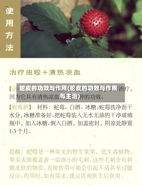 蛇皮的功效与作用(蛇皮的功效与作用与主治)