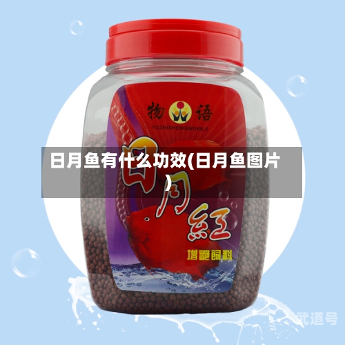 日月鱼有什么功效(日月鱼图片)