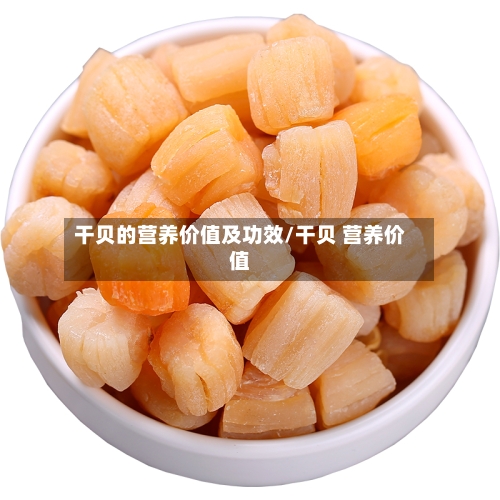 干贝的营养价值及功效/干贝 营养价值