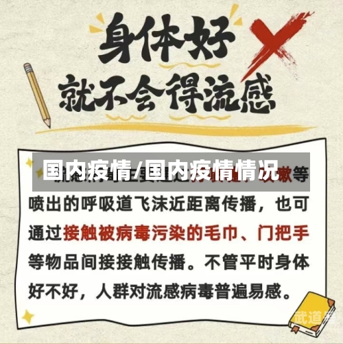 国内疫情/国内疫情情况