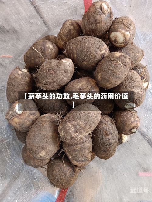 【茅芋头的功效,毛芋头的药用价值】