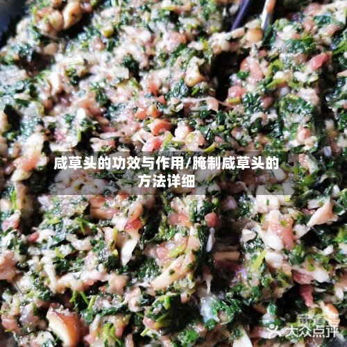 咸草头的功效与作用/腌制咸草头的方法详细