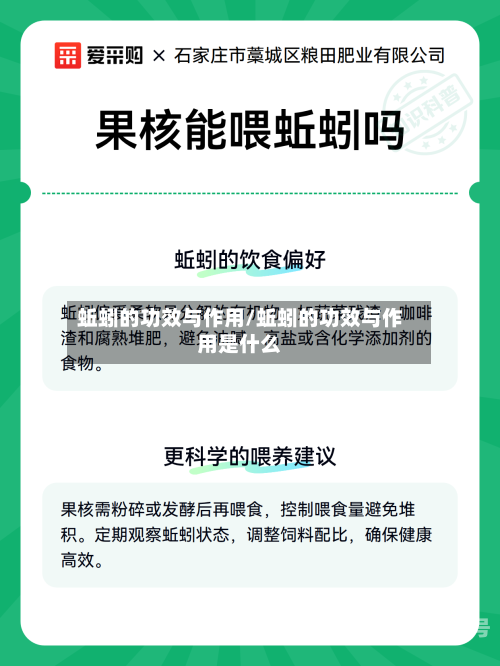 蚯蚓的功效与作用/蚯蚓的功效与作用是什么