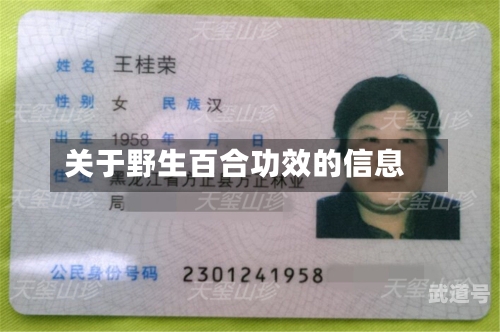 关于野生百合功效的信息