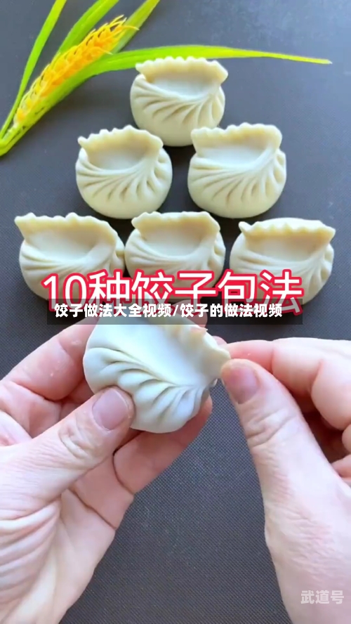 饺子做法大全视频/饺子的做法视频