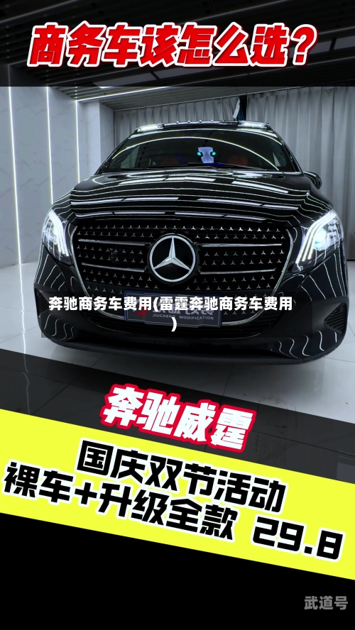 奔驰商务车费用(雷霆奔驰商务车费用)-第2张图片