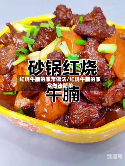 红烧牛腩的家常做法/红烧牛腩的家常做法简单