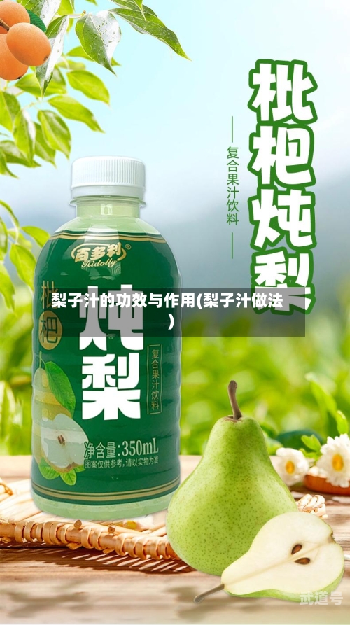 梨子汁的功效与作用(梨子汁做法)