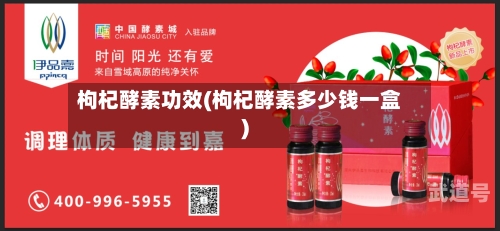 枸杞酵素功效(枸杞酵素多少钱一盒)