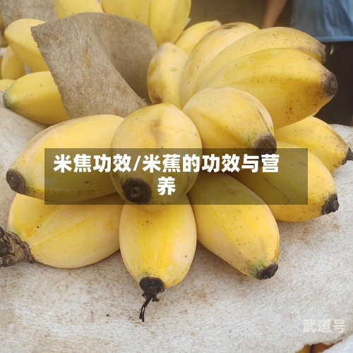 米焦功效/米蕉的功效与营养