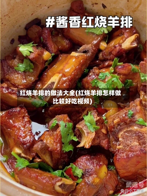 红烧羊排的做法大全(红烧羊排怎样做比较好吃视频)