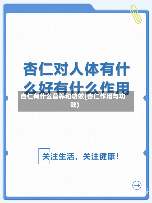 杏仁有什么营养和功效(杏仁作用与功效)