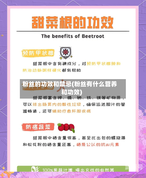 粉丝的功效和禁忌(粉丝有什么营养和功效)