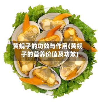 黄蚬子的功效与作用(黄蚬子的营养价值及功效)