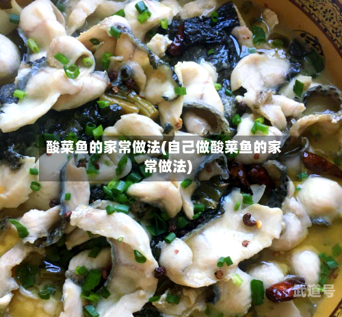 酸菜鱼的家常做法(自己做酸菜鱼的家常做法)
