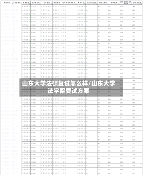 山东大学法硕复试怎么样/山东大学法学院复试方案