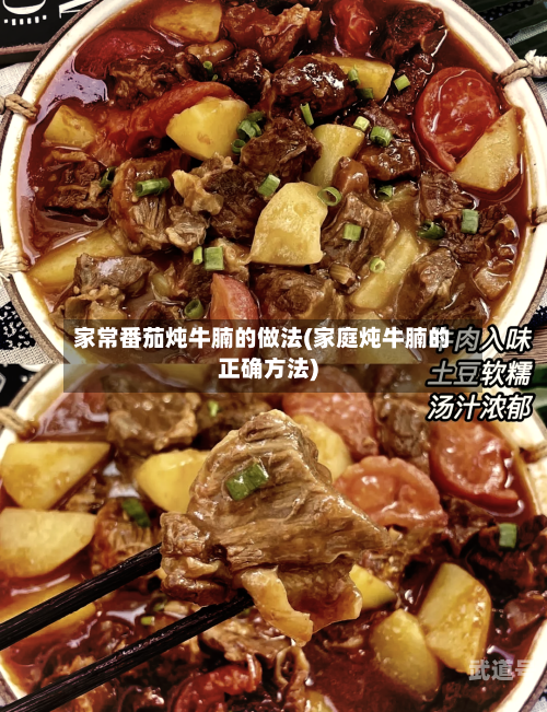 家常番茄炖牛腩的做法(家庭炖牛腩的正确方法)