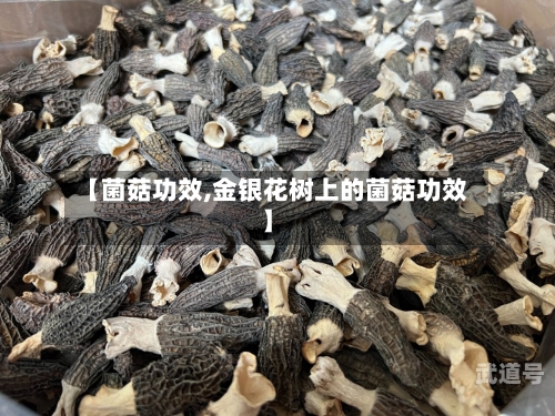 【菌菇功效,金银花树上的菌菇功效】