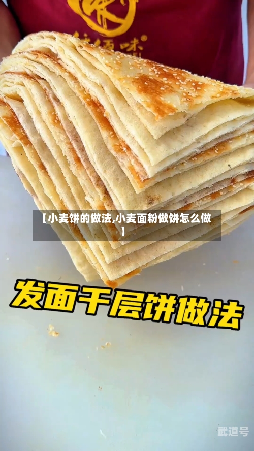 【小麦饼的做法,小麦面粉做饼怎么做】