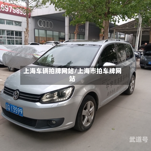 上海车辆拍牌网站/上海市拍车牌网站