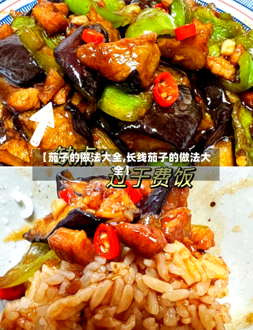 【茄子的做法大全,长线茄子的做法大全】