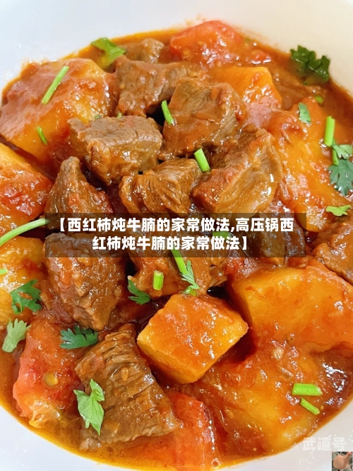 【西红柿炖牛腩的家常做法,高压锅西红柿炖牛腩的家常做法】