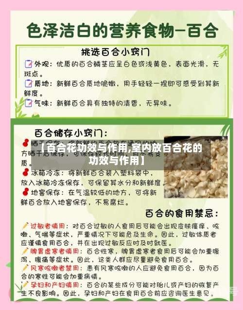 【百合花功效与作用,室内放百合花的功效与作用】-第3张图片