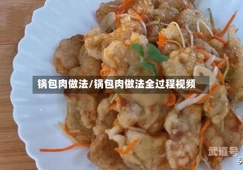 锅包肉做法/锅包肉做法全过程视频