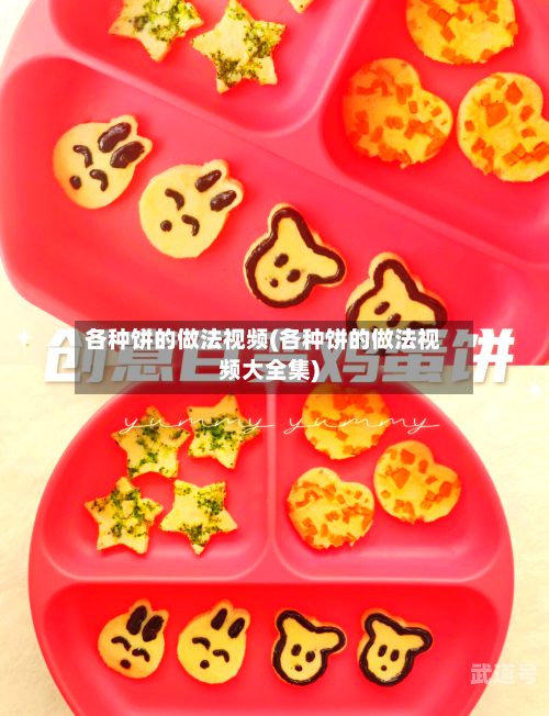 各种饼的做法视频(各种饼的做法视频大全集)