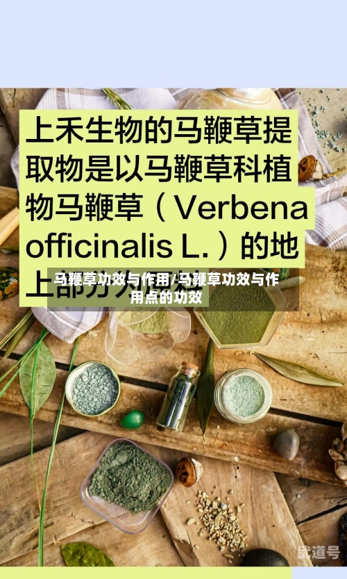 马鞭草功效与作用/马鞭草功效与作用点的功效