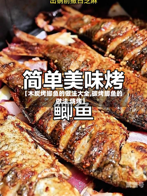 【木炭烤鲫鱼的做法大全,碳烤鲫鱼的做法 烧烤】-第3张图片