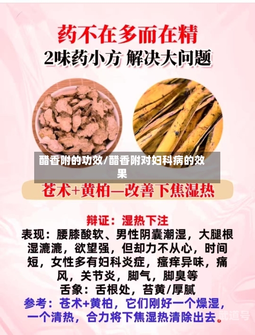 醋香附的功效/醋香附对妇科病的效果