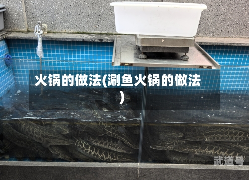 火锅的做法(涮鱼火锅的做法)-第3张图片