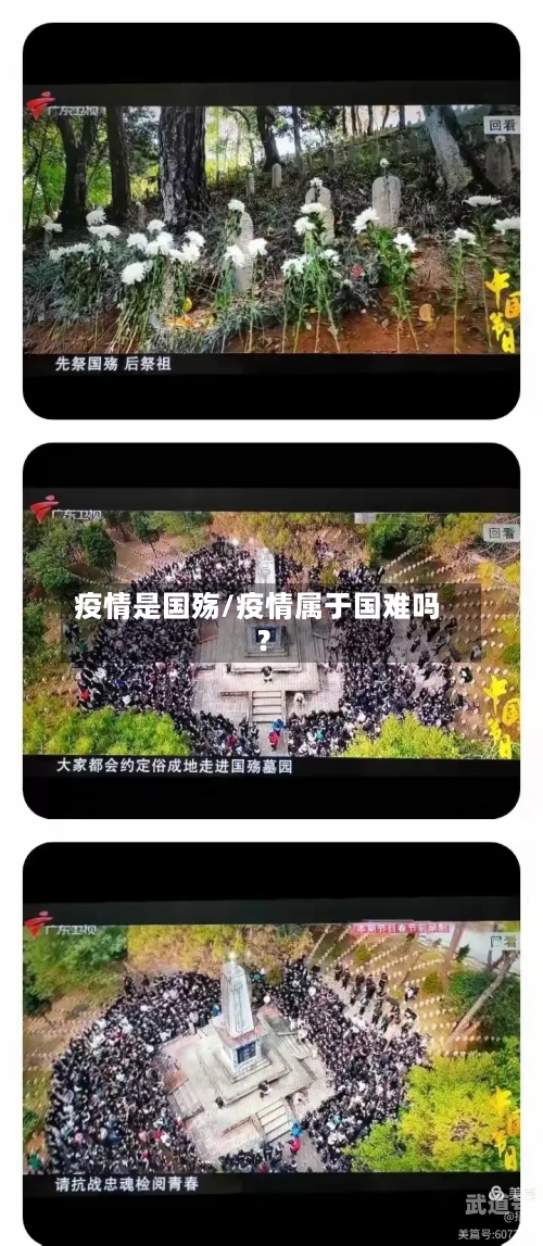 疫情是国殇/疫情属于国难吗?