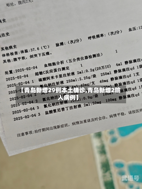【青岛新增29例本土确诊,青岛新增2输入病例】