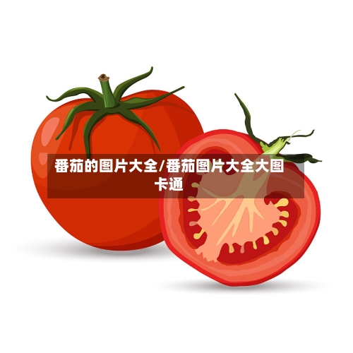 番茄的图片大全/番茄图片大全大图卡通
