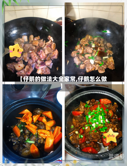 【仔鹅的做法大全家常,仔鹅怎么做】